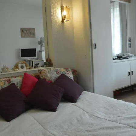 Apartment Studio Biarritz, 1 Piece, 2 Personnes - Fr-1-248-63 *